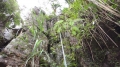 20100606-082045.JPG